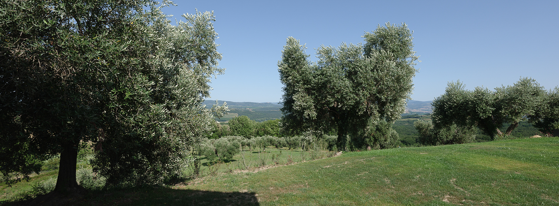 Wstań rano i rusz na spacer wśród saren i bażantów