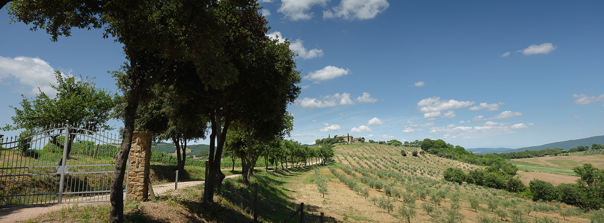 Pieve di Monte Antico - Miejsce, w którym natura spotyka się z pasją.